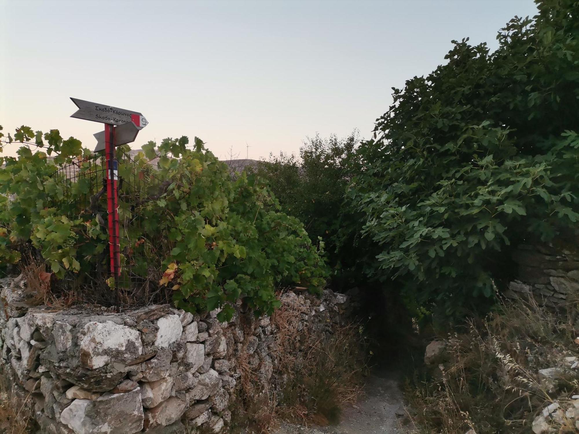 Naxos Mountain Retreat - Tiny House Build On Rock Daire Koronos Dış mekan fotoğraf